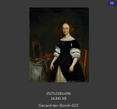 Gerard ter Borch