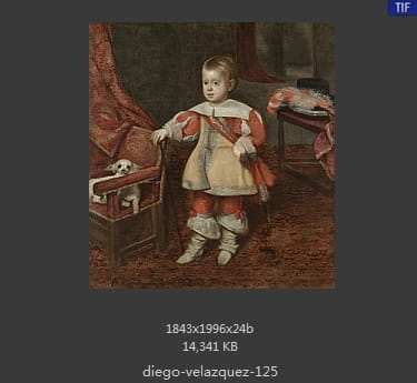 Diego Velazquez