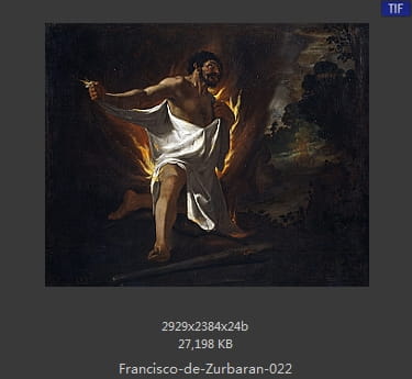 弗朗西斯科·德·苏巴朗 - Francisco de Zurbaran