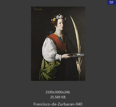 弗朗西斯科·德·苏巴朗 - Francisco de Zurbaran