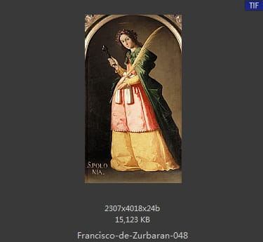 弗朗西斯科·德·苏巴朗 - Francisco de Zurbaran