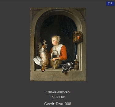 【荷兰】格利特·窦（Gerrit  Dou）