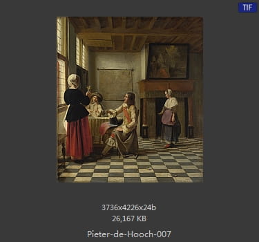 皮特尔·德·胡格(Pieter de Hooch)