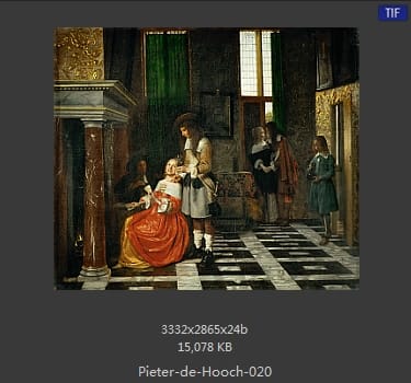 皮特尔·德·胡格(Pieter de Hooch)