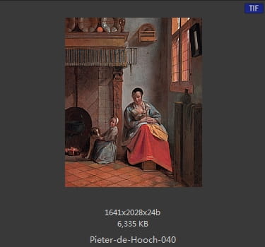 皮特尔·德·胡格(Pieter de Hooch)