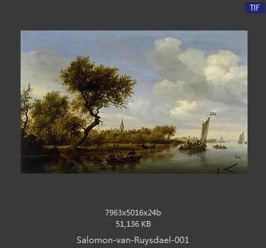 所罗门.范.雷斯达尔Salomon van Ruysdael