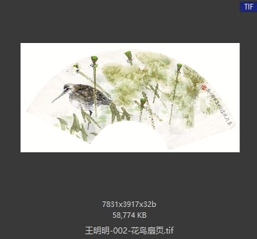 王明明 花鸟扇页