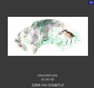 王明明 花鸟扇页