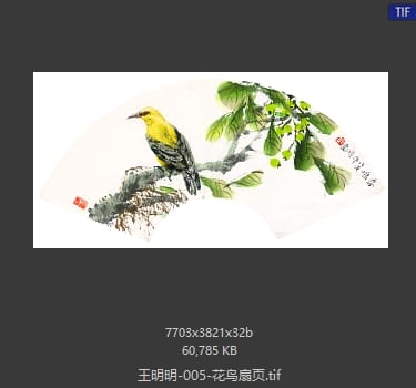 王明明 花鸟扇页