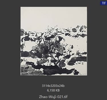 赵无极 #021